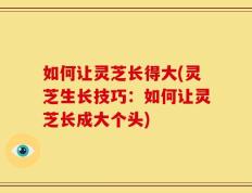 如何让灵芝长得大(灵芝生长技巧：如何让灵芝长成大个头)