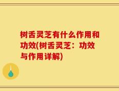 树舌灵芝有什么作用和功效(树舌灵芝：功效与作用详解)