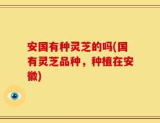 安国有种灵芝的吗(国有灵芝品种，种植在安徽)