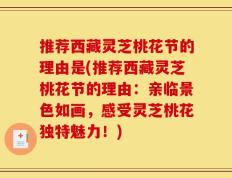 推荐西藏灵芝桃花节的理由是(推荐西藏灵芝桃花节的理由：亲临景色如画，感受灵芝桃花独特魅力！)