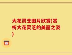 大花灵芝图片欣赏(赏析大花灵芝的美丽之姿)
