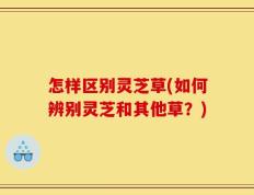 怎样区别灵芝草(如何辨别灵芝和其他草？)