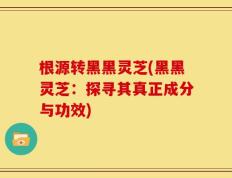 根源转黑黑灵芝(黑黑灵芝：探寻其真正成分与功效)