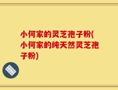 小何家的灵芝孢子粉(小何家的纯天然灵芝孢子粉)