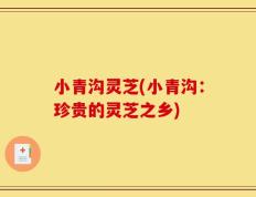 小青沟灵芝(小青沟：珍贵的灵芝之乡)