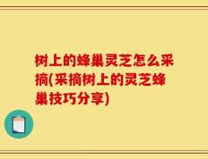 树上的蜂巢灵芝怎么采摘(采摘树上的灵芝蜂巢技巧分享)