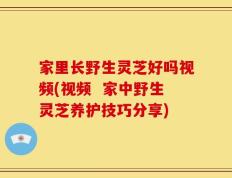 家里长野生灵芝好吗视频(视频  家中野生灵芝养护技巧分享)