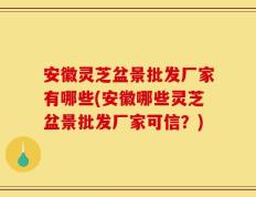 安徽灵芝盆景批发厂家有哪些(安徽哪些灵芝盆景批发厂家可信？)