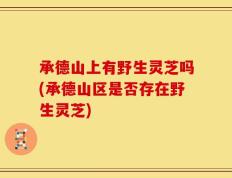 承德山上有野生灵芝吗(承德山区是否存在野生灵芝)