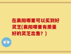 在襄阳哪里可以买到好灵芝(襄阳哪里有质量好的灵芝出售？)