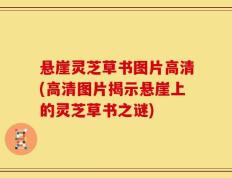 悬崖灵芝草书图片高清(高清图片揭示悬崖上的灵芝草书之谜)