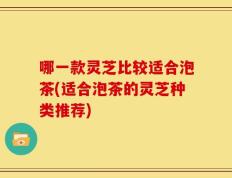哪一款灵芝比较适合泡茶(适合泡茶的灵芝种类推荐)