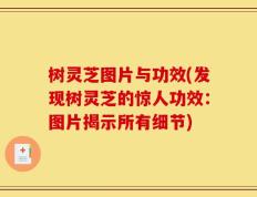 树灵芝图片与功效(发现树灵芝的惊人功效：图片揭示所有细节)