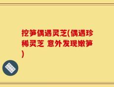挖笋偶遇灵芝(偶遇珍稀灵芝 意外发现嫩笋)