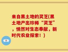 来自黑土地的灵芝(黑土地产出珍稀“灵芝”，悄然对生态奉献，新时代农业探索！)