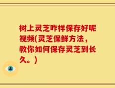 树上灵芝咋样保存好呢视频(灵芝保鲜方法，教你如何保存灵芝到长久。)