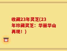 收藏23年灵芝(23年珍藏灵芝：华丽华山再现！)