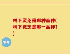 林下灵芝是哪种品种(林下灵芝是哪一品种？)