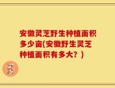 安徽灵芝野生种植面积多少亩(安徽野生灵芝种植面积有多大？)
