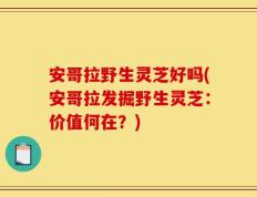 安哥拉野生灵芝好吗(安哥拉发掘野生灵芝：价值何在？)