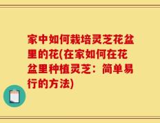 家中如何栽培灵芝花盆里的花(在家如何在花盆里种植灵芝：简单易行的方法)