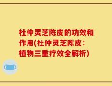 杜仲灵芝陈皮的功效和作用(杜仲灵芝陈皮：植物三重疗效全解析)