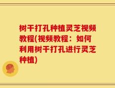 树干打孔种植灵芝视频教程(视频教程：如何利用树干打孔进行灵芝种植)
