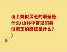 山上类似灵芝的蘑菇是什么(山林中常见的类似灵芝的蘑菇是什么？)