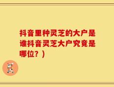 抖音里种灵芝的大户是谁抖音灵芝大户究竟是哪位？)