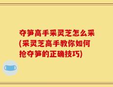 夺笋高手采灵芝怎么采(采灵芝高手教你如何抢夺笋的正确技巧)