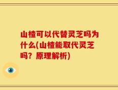 山楂可以代替灵芝吗为什么(山楂能取代灵芝吗？原理解析)