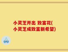 小灵芝开出 致富花(小灵芝成致富新希望)