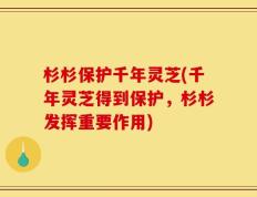 杉杉保护千年灵芝(千年灵芝得到保护，杉杉发挥重要作用)