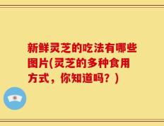 新鲜灵芝的吃法有哪些图片(灵芝的多种食用方式，你知道吗？)