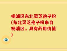 杨浦区东北灵芝孢子粉(东北灵芝孢子粉来自杨浦区，具有药用价值)
