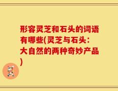 形容灵芝和石头的词语有哪些(灵芝与石头：大自然的两种奇妙产品)