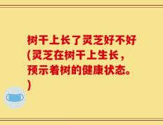 树干上长了灵芝好不好(灵芝在树干上生长，预示着树的健康状态。)