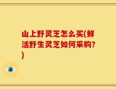 山上野灵芝怎么买(鲜活野生灵芝如何采购？)