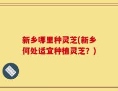 新乡哪里种灵芝(新乡何处适宜种植灵芝？)