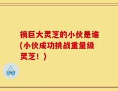 摘巨大灵芝的小伙是谁(小伙成功挑战重量级灵芝！)