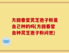 方回春堂灵芝孢子粉是自己种的吗(方回春堂自种灵芝孢子粉问世)