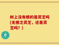 树上没有根的是灵芝吗(无根之灵芝，还是灵芝吗？)