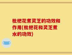 枇杷花煮灵芝的功效和作用(枇杷花和灵芝煮水的功效)