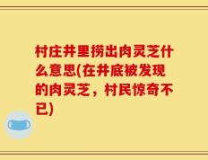 村庄井里捞出肉灵芝什么意思(在井底被发现的肉灵芝，村民惊奇不已)