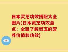 日本灵芝功效搭配大全图片(日本灵芝功效盘点：全面了解灵芝的营养价值和功效)