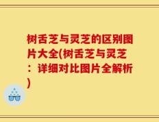 树舌芝与灵芝的区别图片大全(树舌芝与灵芝：详细对比图片全解析)