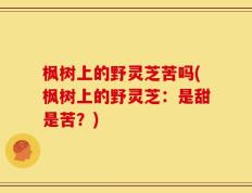 枫树上的野灵芝苦吗(枫树上的野灵芝：是甜是苦？)