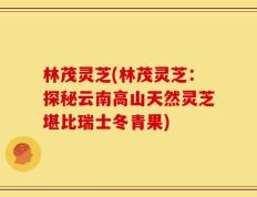 林茂灵芝(林茂灵芝：探秘云南高山天然灵芝堪比瑞士冬青果)