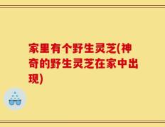 家里有个野生灵芝(神奇的野生灵芝在家中出现)