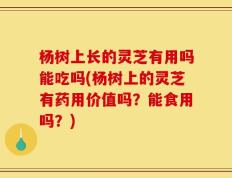 杨树上长的灵芝有用吗能吃吗(杨树上的灵芝有药用价值吗？能食用吗？)